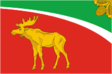A Tyuhtyeti járás zászlaja