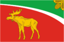 Flag of Tyukhtetsky District