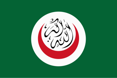 File:Flag of the Organization of Islamic Cooperation (1981–2011).svg