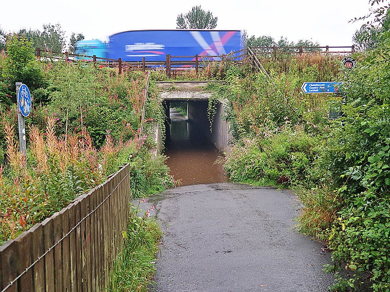 File:Flooded Underpass at Strathclyde Country Park (geograph 6588465).jpg