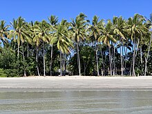 Beach in Port Douglas Four Mile Beach, Port Douglas, Queensland, 2020 04.jpg