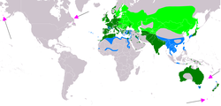 Distribuzione della folaga comune.