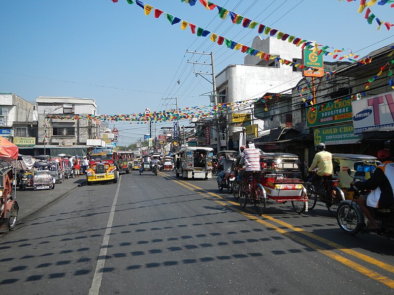 File:FvfMangaldan,Pangasinan9587 11.JPG