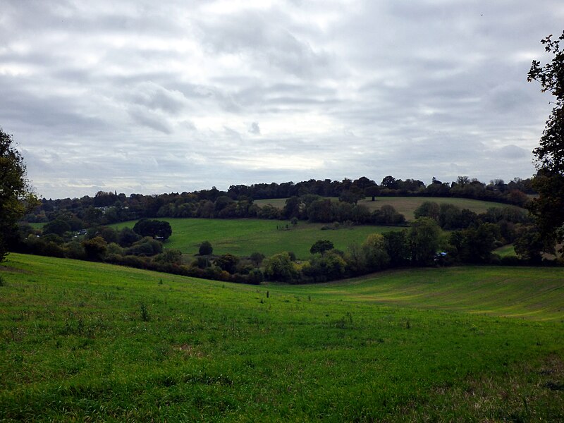 File:GOC Cholesbury to Chartridge 016 Landscape (43563090264).jpg