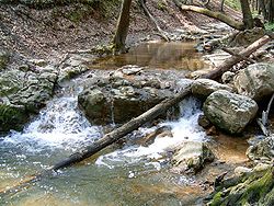 Der Fluss Gaja in der Nähe von Bakonynána