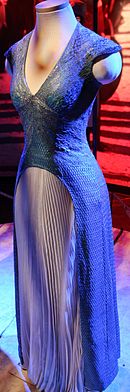 A blue, scale-covered dress on display.
