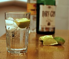 Gin and Tonic with ingredients.jpg