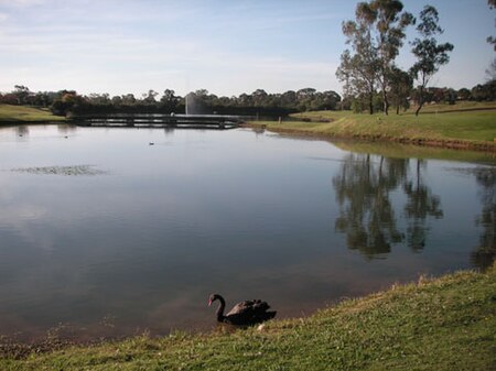 GlenAlpineNSWgolfcourse