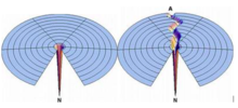 Energetic funnel representing protein folding events in the cell