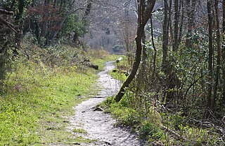 <span class="mw-page-title-main">Gomm's Wood</span> Local nature reserve in Buckinghamshire, England