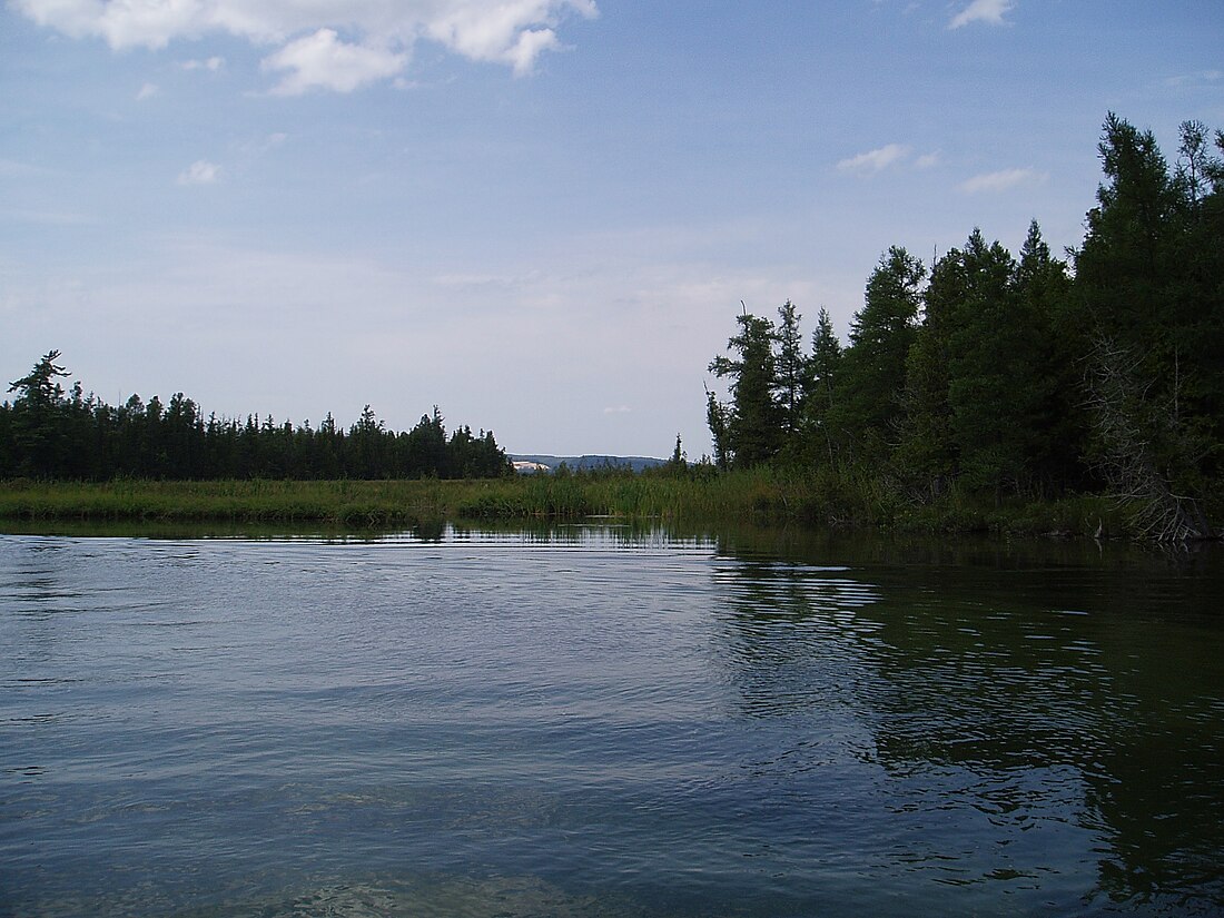 Grass River (Michigan)