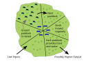 Rotational grazing