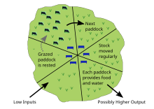 A diagram displaying how rotational grazing works. Grazers are only allowed to feed on one area of land while other sections grow freely. They are intermittently moved to new patches to feed while vegetation on its previous patches recover.