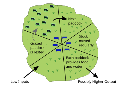 In rotational grazing, livestock are rotated through a series of fenced-off pastures, each of which is able to meet all of the animals' basic needs (food, water, shade/shelter, etc.) Grazing, rotational.svg