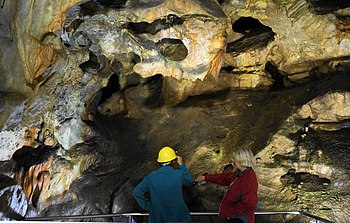 Griffen stalactite cave
