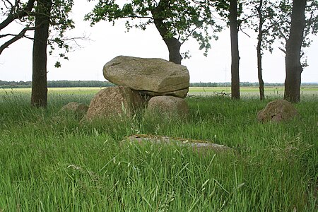 Großsteingrab Großenhain 10