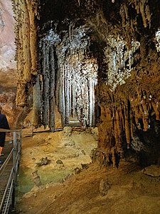 Grotta del Fico 3075.jpg