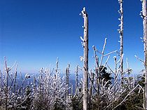 Looking northwest from a clearing at 6,600 feet (2,000 m), just off the summit of Mt. Guyot