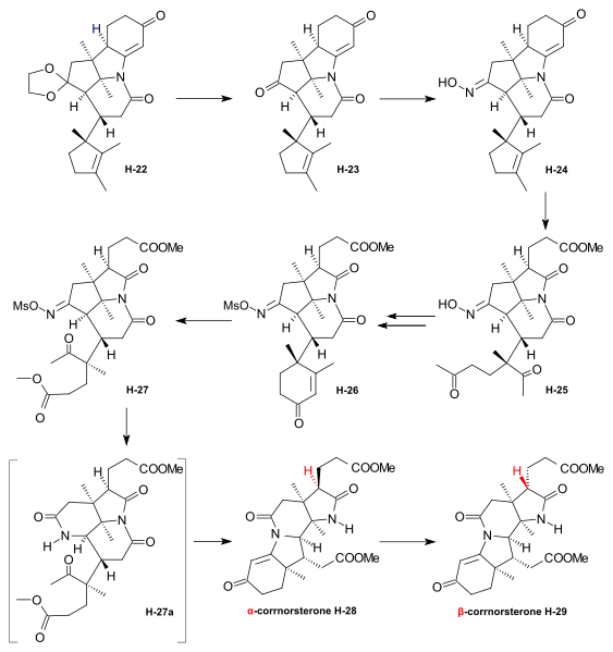 File:Harvard Corrnorsterone.svg