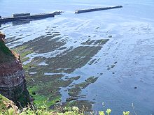 Un affleurement rocheux sous-marin (Felswatt) émergeant à marée basse au pied de la « Grande Anna ».