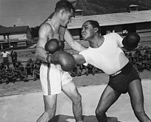 [1] Boxer im Boxkampf