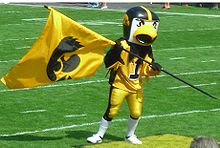 School mascot Herky the Hawk waves a flag at an Iowa football game on September 16, 2006. Herky and tigerhawk.JPG