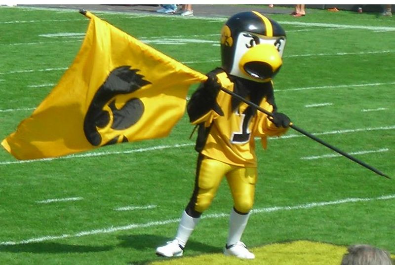 File:Herky and tigerhawk.JPG