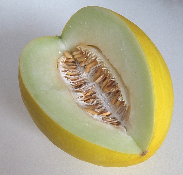 File:Honeydew.Melon.2.jpg