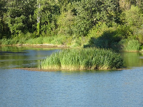 Grassy small island