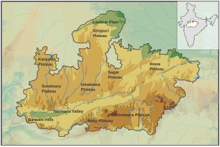 <span class="mw-page-title-main">Madhya Pradesh Lokayukta</span> Anti-corruption Ombudsman for the state of Madhya Pradesh