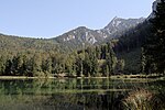 Frillensee (Inzell)