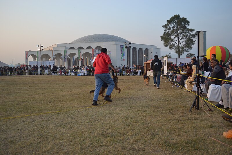 File:Islamabad Dog Show.JPG