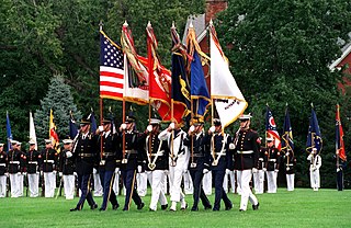 <span class="mw-page-title-main">Flags of the United States Armed Forces</span> Banners which represent branches of US military forces