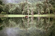 Biogradsko Jezero