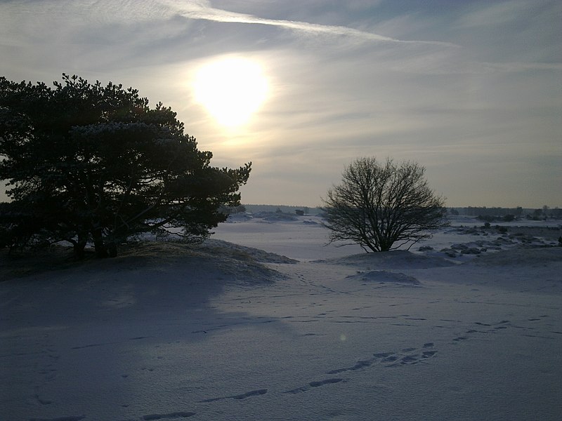 File:Kale duinen in de sneeuw - panoramio.jpg