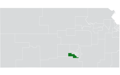 District 26 du Sénat du Kansas (2010) .png