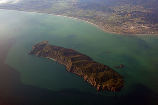 <span class="mw-page-title-main">Kapiti Island</span> Island next to the Kapiti Coast of New Zealand