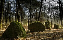 Steinreihen von Kersolan