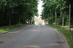 Kesselgrundstraße Werder 2022-05-25 04