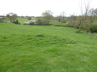 <span class="mw-page-title-main">King's Cliffe Banks</span> Biological Site of Special Scientific Interest