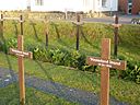 Kreuze Friedhof der Heimatlosen.jpg