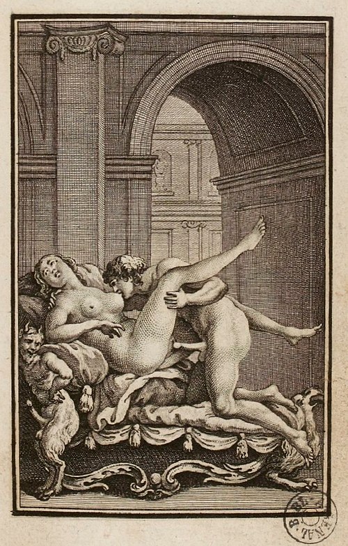 Gravure libre illustrant le livre l'Arétin françois de François-Félix Nogaret.