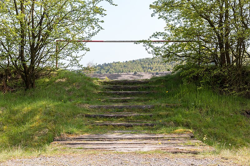 File:Lüdinghausen, Naturschutzgebiet Borkenberge -- 2016 -- 2277.jpg