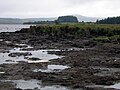 La tourbière du Vénec en bordure du lac de Brennilis