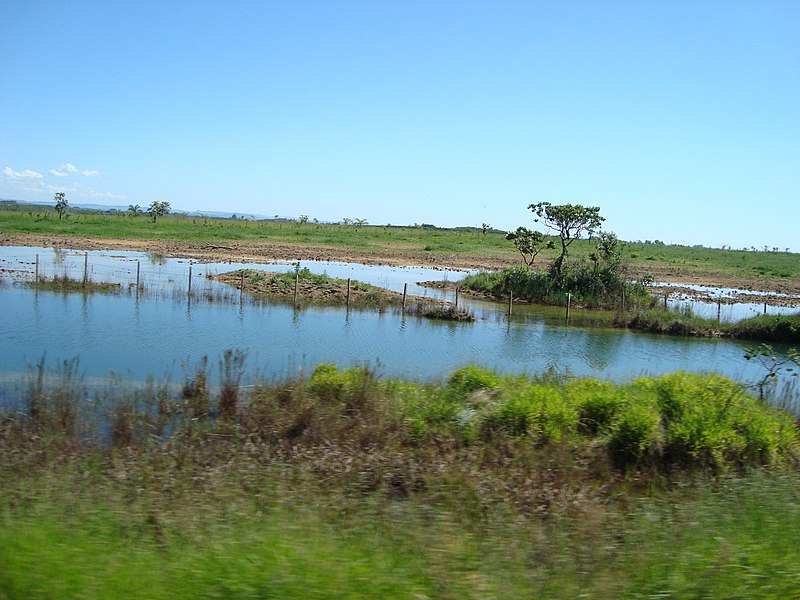 File:Lagoa natural às margens da BR 354 próximo à balança de pesagem. Região mal drenada. - panoramio.jpg