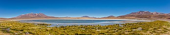 Vista panorâmica da lagoa Cañapa, uma lagoa de água salgada situada no departamento de Potosí, sudeste da Bolívia. (definição 19 990 × 4 191)