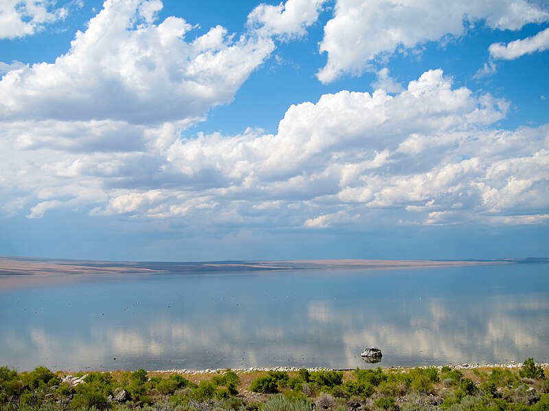 File:Lake Abert (6024728902).jpg