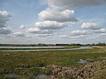 Lakenheath Fen RSPB reserve