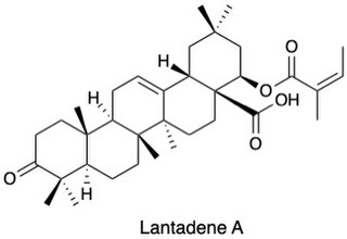 <span class="mw-page-title-main">Lantadene</span> Chemical compound