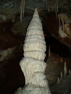 Resgate de Litotipo e Espeleotemas em Cavernas Carbonáticas, Matozinhos  (MG)